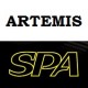 Gas springs for air guns ARTEMIS (SPA)